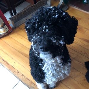 Meet your Posher, Sandra